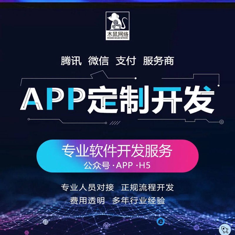 APP开发定制：助力企业创新升级的新引擎